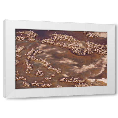 Africa-Tanzania-Aerial view of flock of Lesser Flamingos nesting among salt flats White Modern Wood Framed Art Print by Souders, Paul