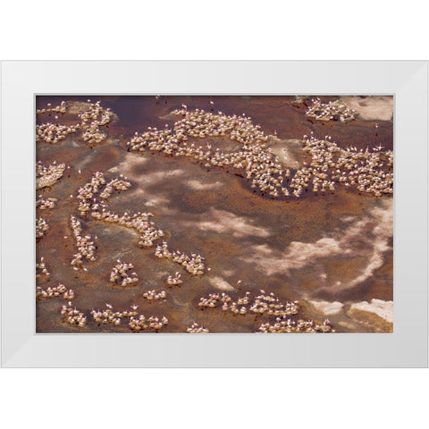 Africa-Tanzania-Aerial view of flock of Lesser Flamingos nesting among salt flats White Modern Wood Framed Art Print by Souders, Paul