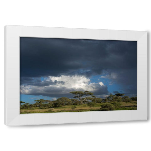 Rainstorm approaching Ndutu-Ngorongoro Conservation Area-Serengeti-Tanzania White Modern Wood Framed Art Print by Pitamitz, Sergio