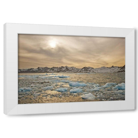 South Georgia Isl Sunset over water and sea ice White Modern Wood Framed Art Print by Delisle, Gilles