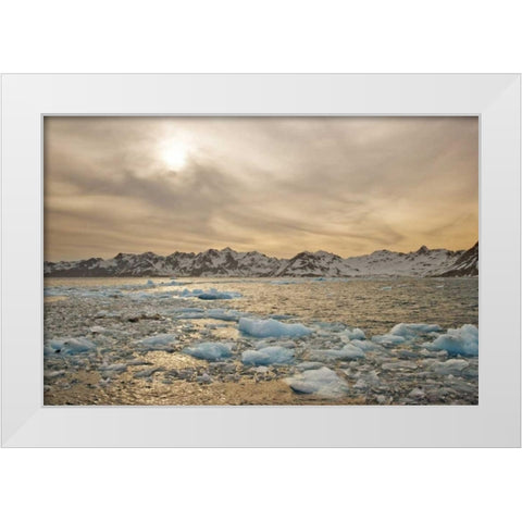South Georgia Isl Sunset over water and sea ice White Modern Wood Framed Art Print by Delisle, Gilles