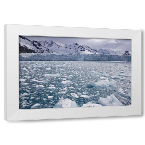 South Georgia Island, Iris Bay Herz Glacier White Modern Wood Framed Art Print by Paulson, Don
