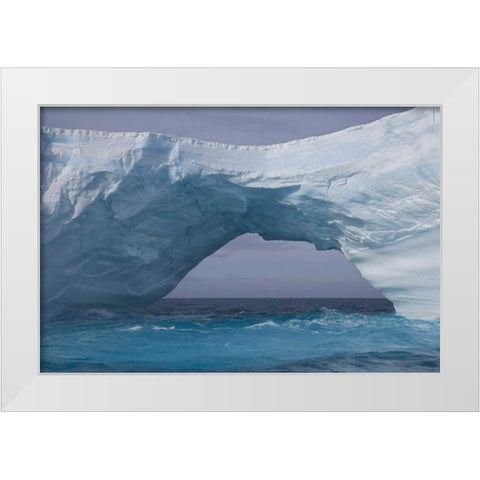 South Georgia Island, Iris Bay Iceberg bridge White Modern Wood Framed Art Print by Paulson, Don