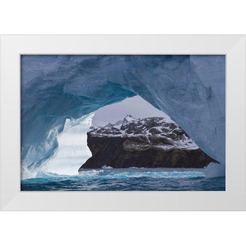 South Georgia Island, Iris Bay Iceberg arch White Modern Wood Framed Art Print by Paulson, Don