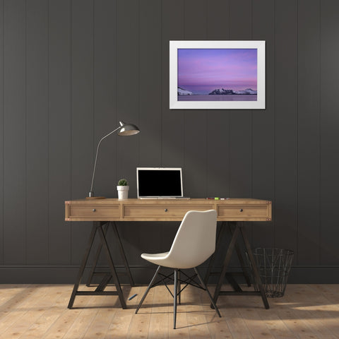 South Georgia Island, Leith Harbor Pink Sunrise White Modern Wood Framed Art Print by Paulson, Don