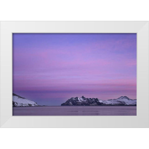 South Georgia Island, Leith Harbor Pink Sunrise White Modern Wood Framed Art Print by Paulson, Don