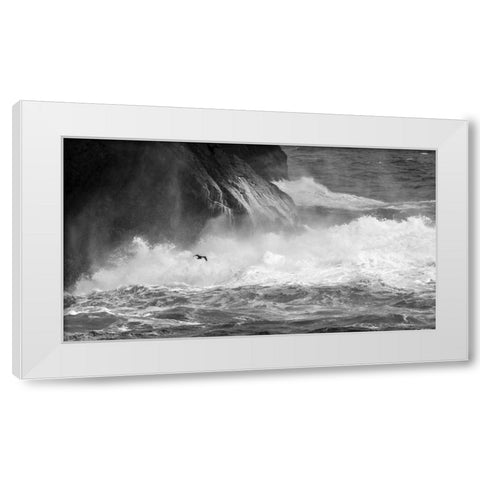 Antarctica Cormorant flying over frothing sea White Modern Wood Framed Art Print by Young, Bill