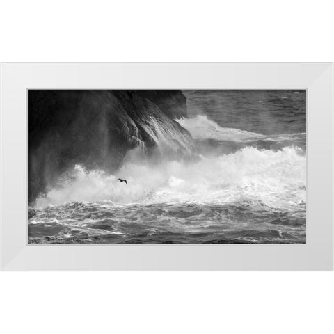 Antarctica Cormorant flying over frothing sea White Modern Wood Framed Art Print by Young, Bill