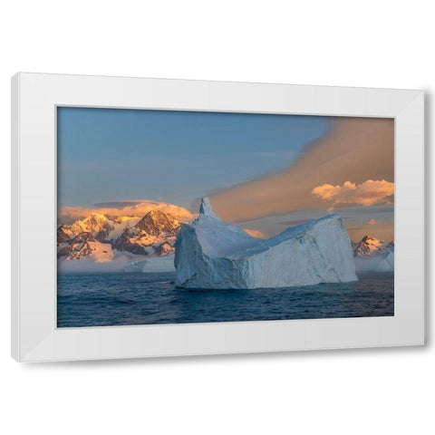 Antarctica-South Georgia Island-Coopers Bay Iceberg and mountains at sunrise  White Modern Wood Framed Art Print by Jaynes Gallery