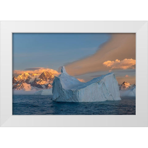 Antarctica-South Georgia Island-Coopers Bay Iceberg and mountains at sunrise  White Modern Wood Framed Art Print by Jaynes Gallery