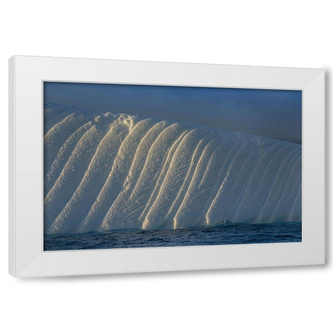 Antarctica-South Georgia Island-Coopers Bay Iceberg at sunrise  White Modern Wood Framed Art Print by Jaynes Gallery