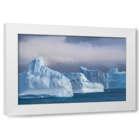 Antarctica-South Georgia Island-Coopers Bay Icebergs at sunrise  White Modern Wood Framed Art Print by Jaynes Gallery