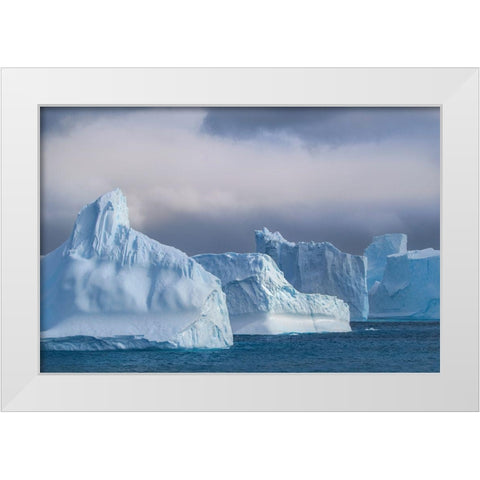 Antarctica-South Georgia Island-Coopers Bay Icebergs at sunrise  White Modern Wood Framed Art Print by Jaynes Gallery