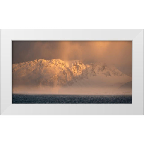 Antarctica-South Georgia Island-Bay of Isles Sunrise panoramic of fog on mountain and ocean  White Modern Wood Framed Art Print by Jaynes Gallery