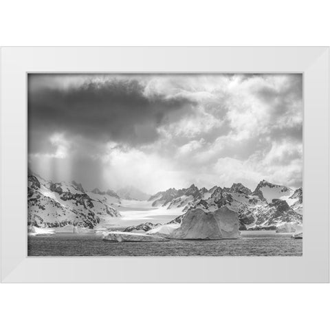 Antarctica-South Georgia Island Sunbeams light up icebergs and mountains  White Modern Wood Framed Art Print by Jaynes Gallery