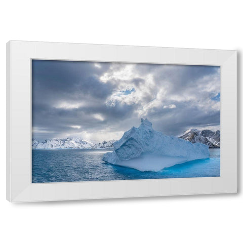 Antarctica-South Georgia Island Landscape with iceberg and mountains  White Modern Wood Framed Art Print by Jaynes Gallery