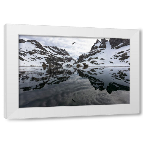 Southern Ocean-South Georgia-Larsen Harbor-Drygalski Fjord White Modern Wood Framed Art Print by Goff, Ellen B.