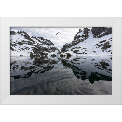 Southern Ocean-South Georgia-Larsen Harbor-Drygalski Fjord White Modern Wood Framed Art Print by Goff, Ellen B.