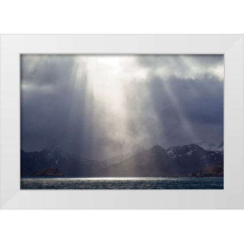 Southern Ocean-South Georgia-King Edward Cove-Grytviken White Modern Wood Framed Art Print by Goff, Ellen B.