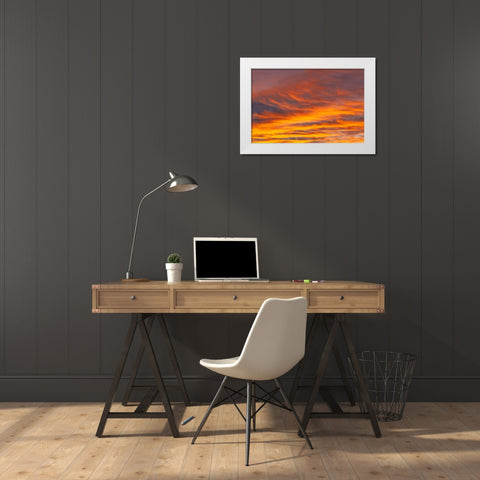 Southern Ocean-South Georgia-Sunset at South Georgia White Modern Wood Framed Art Print by Goff, Ellen B.