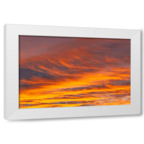Southern Ocean-South Georgia-Sunset at South Georgia White Modern Wood Framed Art Print by Goff, Ellen B.