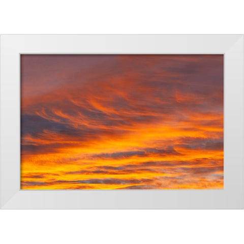Southern Ocean-South Georgia-Sunset at South Georgia White Modern Wood Framed Art Print by Goff, Ellen B.