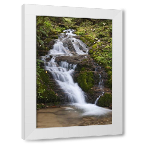 Asia, Bhutan Waterfall in central Bhutan White Modern Wood Framed Art Print by Kirkland, Dennis