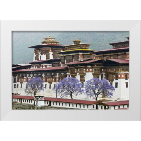 Bhutan Punakha Dzong palace with jacaranda White Modern Wood Framed Art Print by Kirkland, Dennis