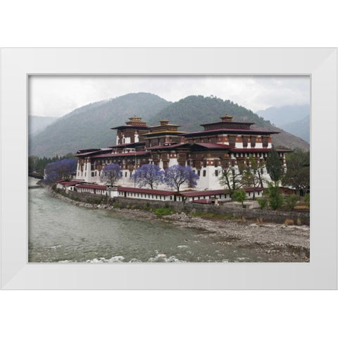 Bhutan Punakha Dzong palace with jacaranda White Modern Wood Framed Art Print by Kirkland, Dennis