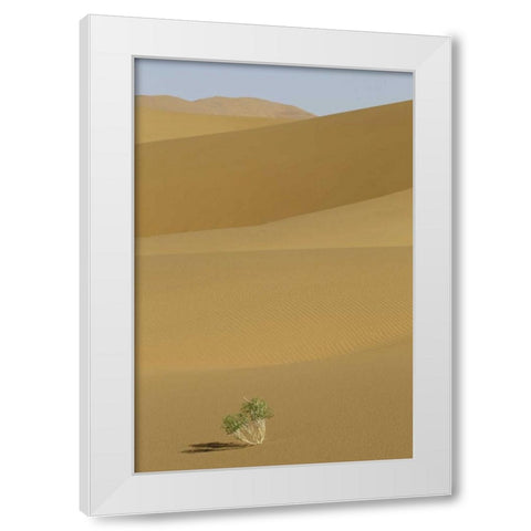China, Gansu Province Badain Jaran Desert White Modern Wood Framed Art Print by Anon, Josh