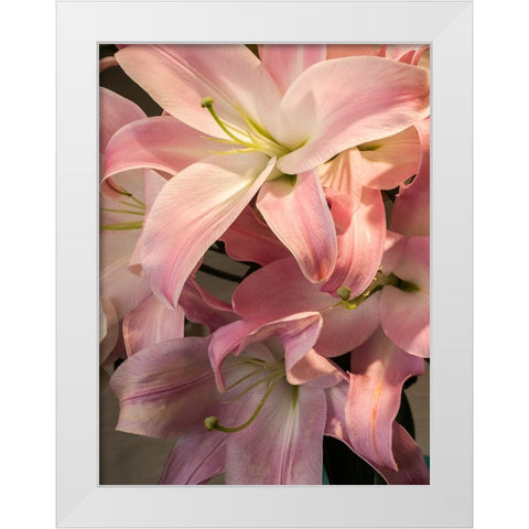 China-Hong Kong Lilies on display at a shop near the flower market White Modern Wood Framed Art Print by Eggers, Julie