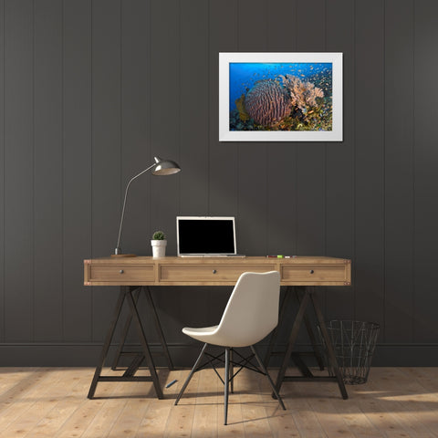 Indonesia, Pantar Island White Modern Wood Framed Art Print by Shimlock, Jones