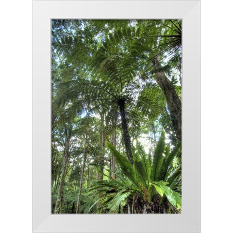 Indonesia, Bali View of vegetation in a Garden White Modern Wood Framed Art Print by Shimlock, Jones
