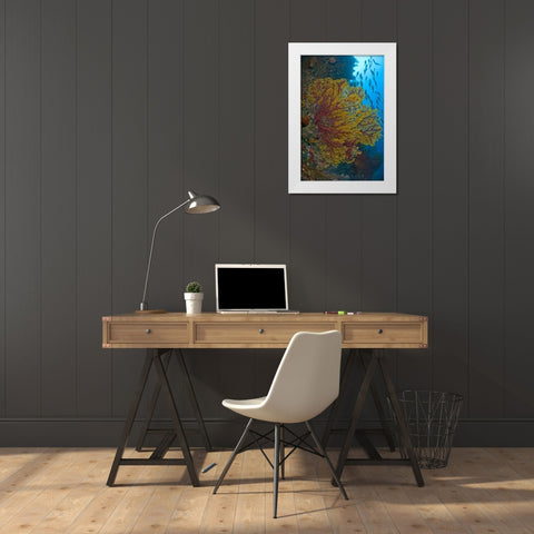 Sea fan or gorgonian coral, Raja Ampat, Indonesia White Modern Wood Framed Art Print by Shimlock, Jones
