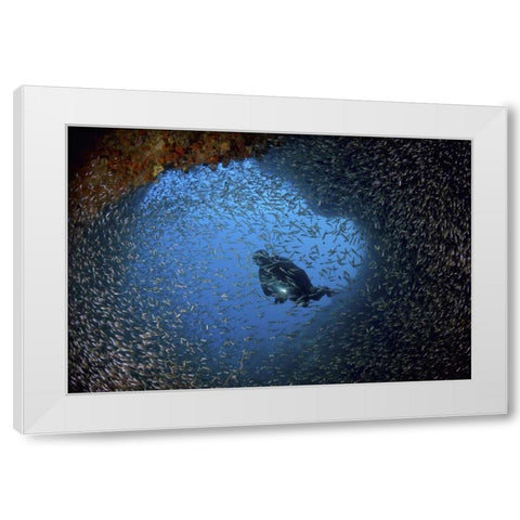 Baitfish and diver at cave, Papua, Indonesia White Modern Wood Framed Art Print by Shimlock, Jones