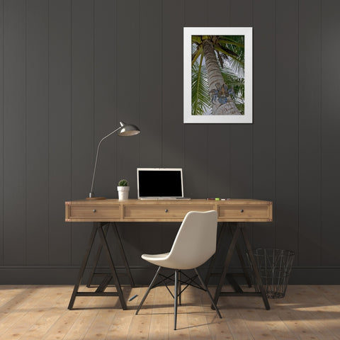 Indonesia, Papua Coconut crab climbs palm tree White Modern Wood Framed Art Print by Shimlock, Jones