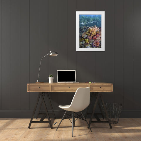 Indonesia, Raja Ampat Underwater fish and coral White Modern Wood Framed Art Print by Shimlock, Jones
