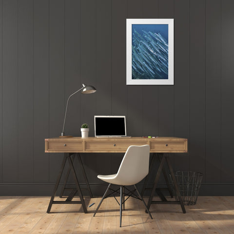 Indonesia, Papua Underwater Schooling barracuda White Modern Wood Framed Art Print by Shimlock, Jones