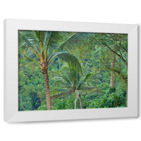 Indonesia-Bali-Ubud-Bali rainforest White Modern Wood Framed Art Print by Eggers, Terry