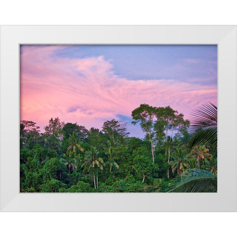 Indonesia-Bali-Ubud-Sunrise in the rainforest White Modern Wood Framed Art Print by Eggers, Terry