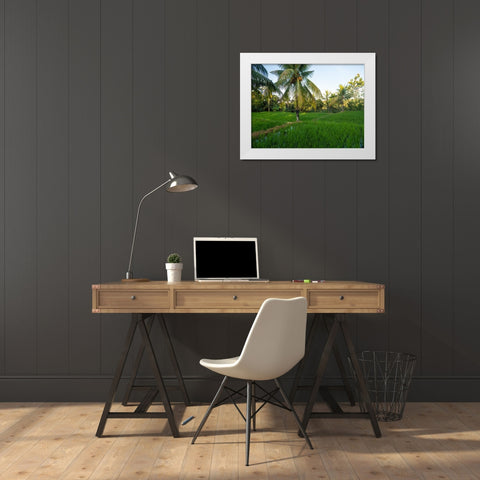 Indonesia-Bali-Ubud-Rice fields and palm trees White Modern Wood Framed Art Print by Eggers, Terry
