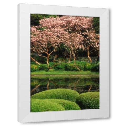 Japan, Tokyo Imperial Palace East Gardens White Modern Wood Framed Art Print by Ross, Nancy ,  Steve
