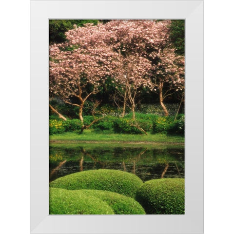 Japan, Tokyo Imperial Palace East Gardens White Modern Wood Framed Art Print by Ross, Nancy ,  Steve