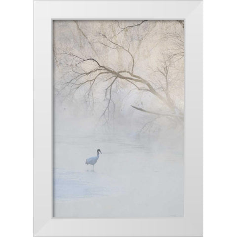 Japan, Hokkaido A hooded crane in foggy morning White Modern Wood Framed Art Print by Anon, Josh