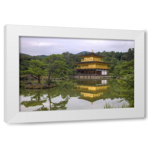 Japan, Kyoto Temple of the Golden Pavilion White Modern Wood Framed Art Print by Flaherty, Dennis