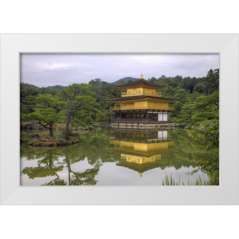 Japan, Kyoto Temple of the Golden Pavilion White Modern Wood Framed Art Print by Flaherty, Dennis