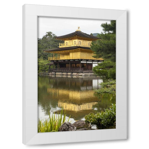 Japan, Kyoto Temple of the Golden Pavilion White Modern Wood Framed Art Print by Flaherty, Dennis