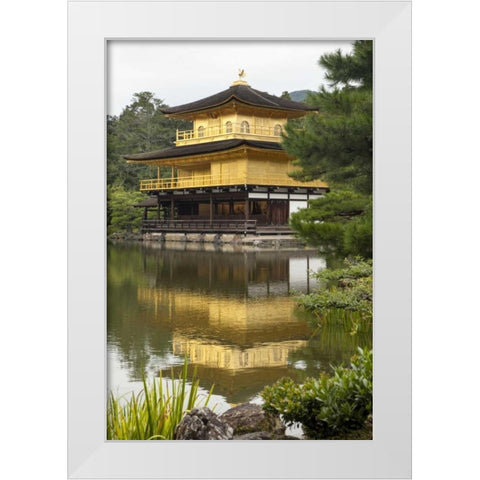 Japan, Kyoto Temple of the Golden Pavilion White Modern Wood Framed Art Print by Flaherty, Dennis