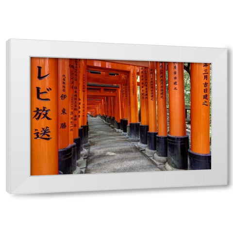 Japan, Kyoto, Fushimi-Inari-Taisha Torii Gates White Modern Wood Framed Art Print by Flaherty, Dennis