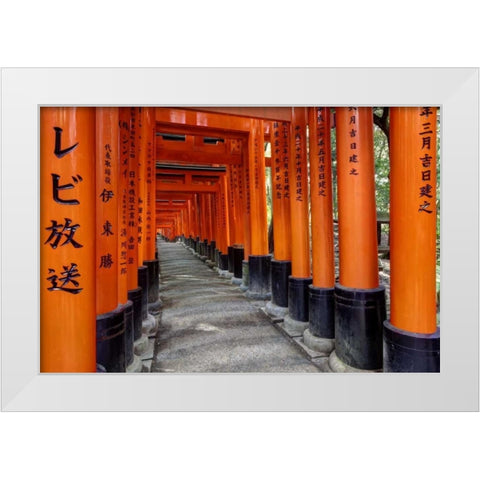 Japan, Kyoto, Fushimi-Inari-Taisha Torii Gates White Modern Wood Framed Art Print by Flaherty, Dennis